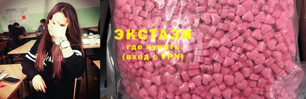 ECSTASY Богданович